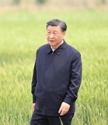 <b>奋进的春天丨不负春时农桑忙</b>