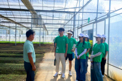 科技赋能聪慧农业 芳华帮力村落复兴——南京农